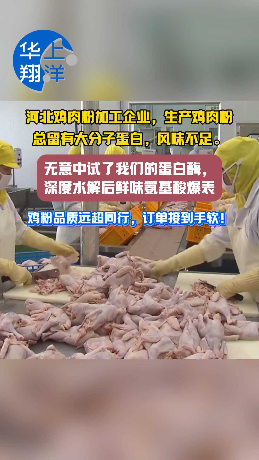 河北鸡肉粉加工企业,生产鸡肉粉总留有大分子蛋白,风味不足