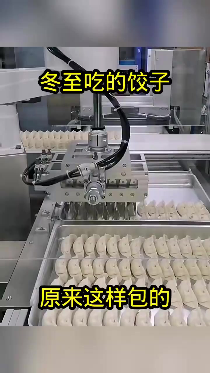 “科技包饺子?真相背后的悬疑与速成的秘密!”