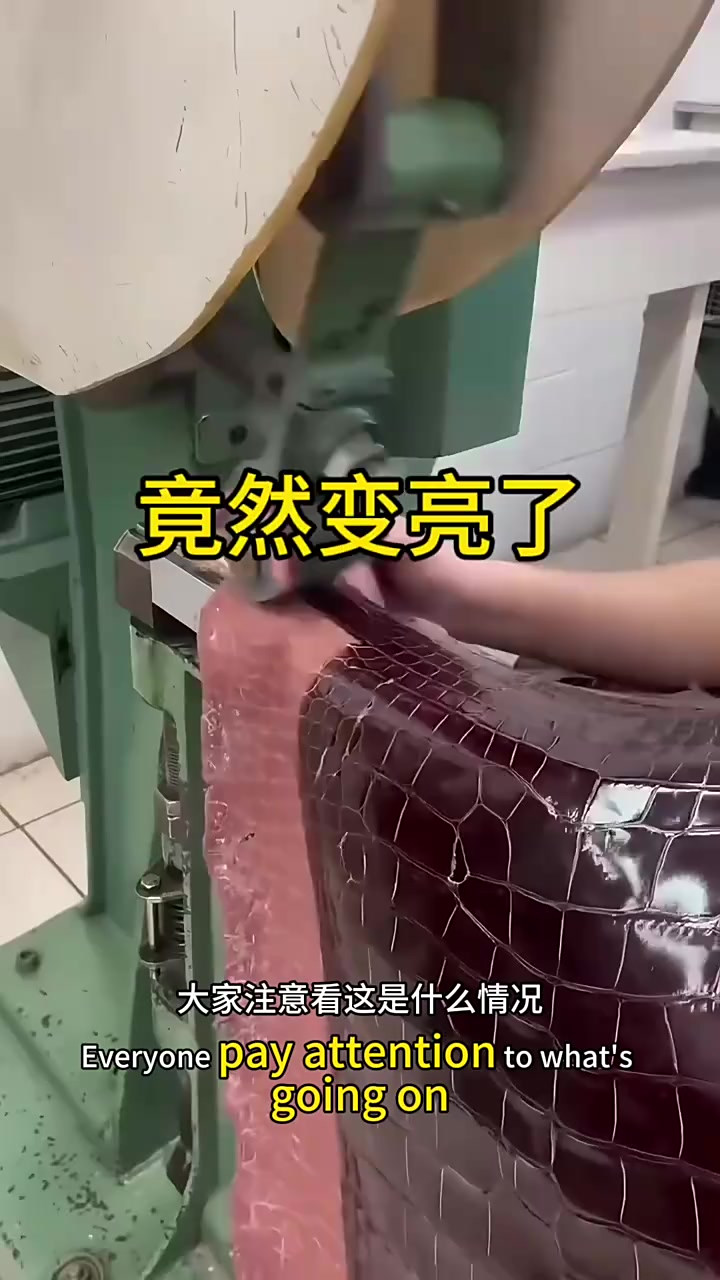 神秘工厂里的鳄鱼皮之谜：一擦即亮的惊人真相！