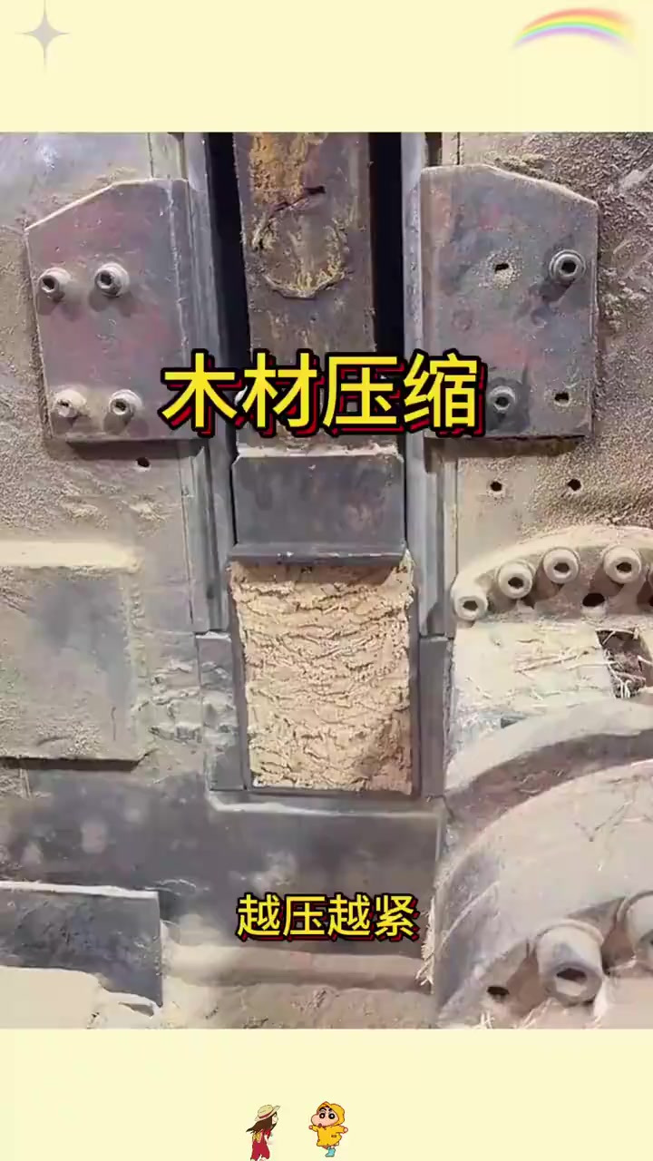 “不可思议!巨型虾籽竟能化身超密木材,背后藏着什么秘密?”