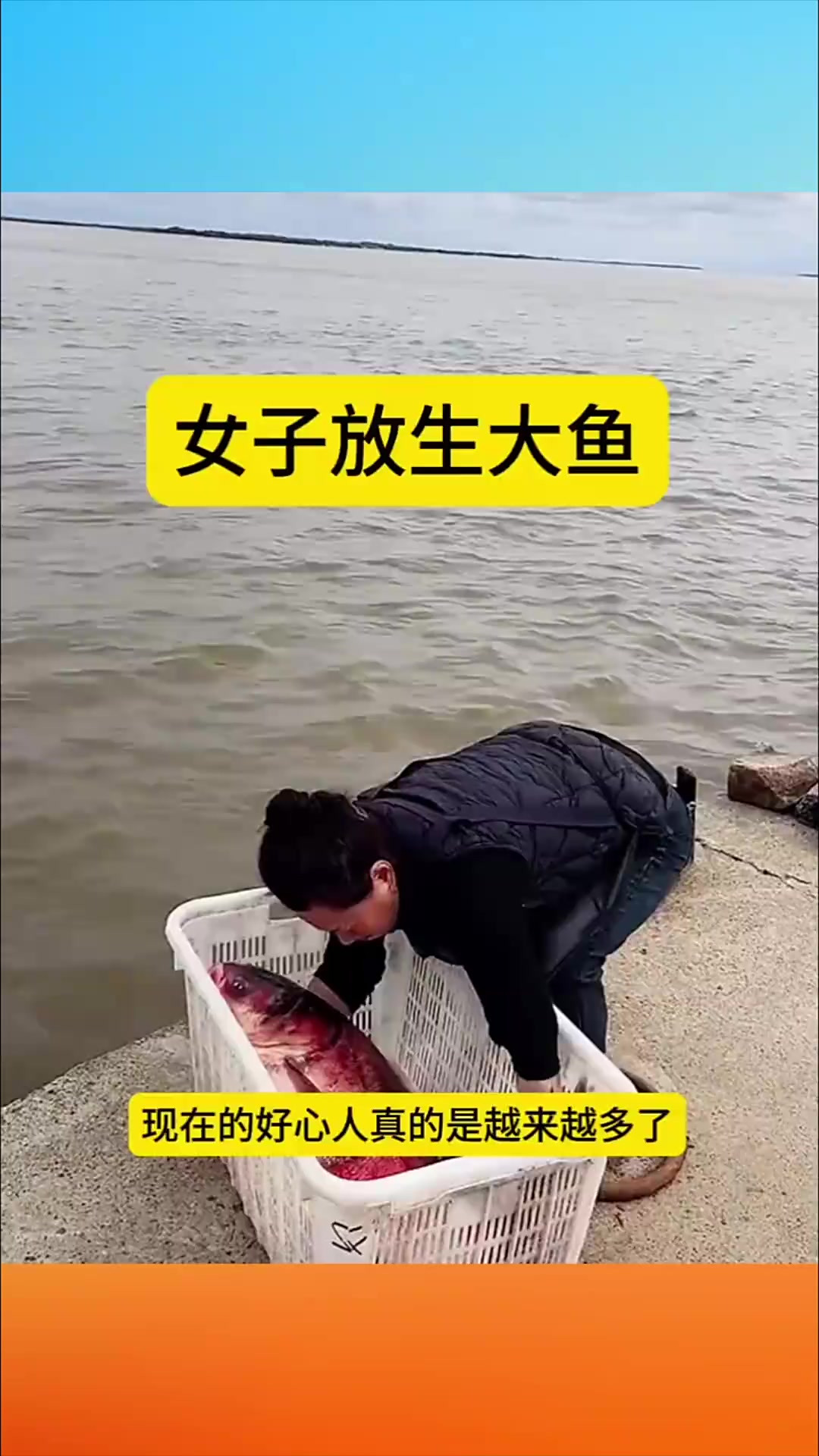 “女子投放巨型大头鱼，神秘瞬间引发河道奇观，真相令人不解！”