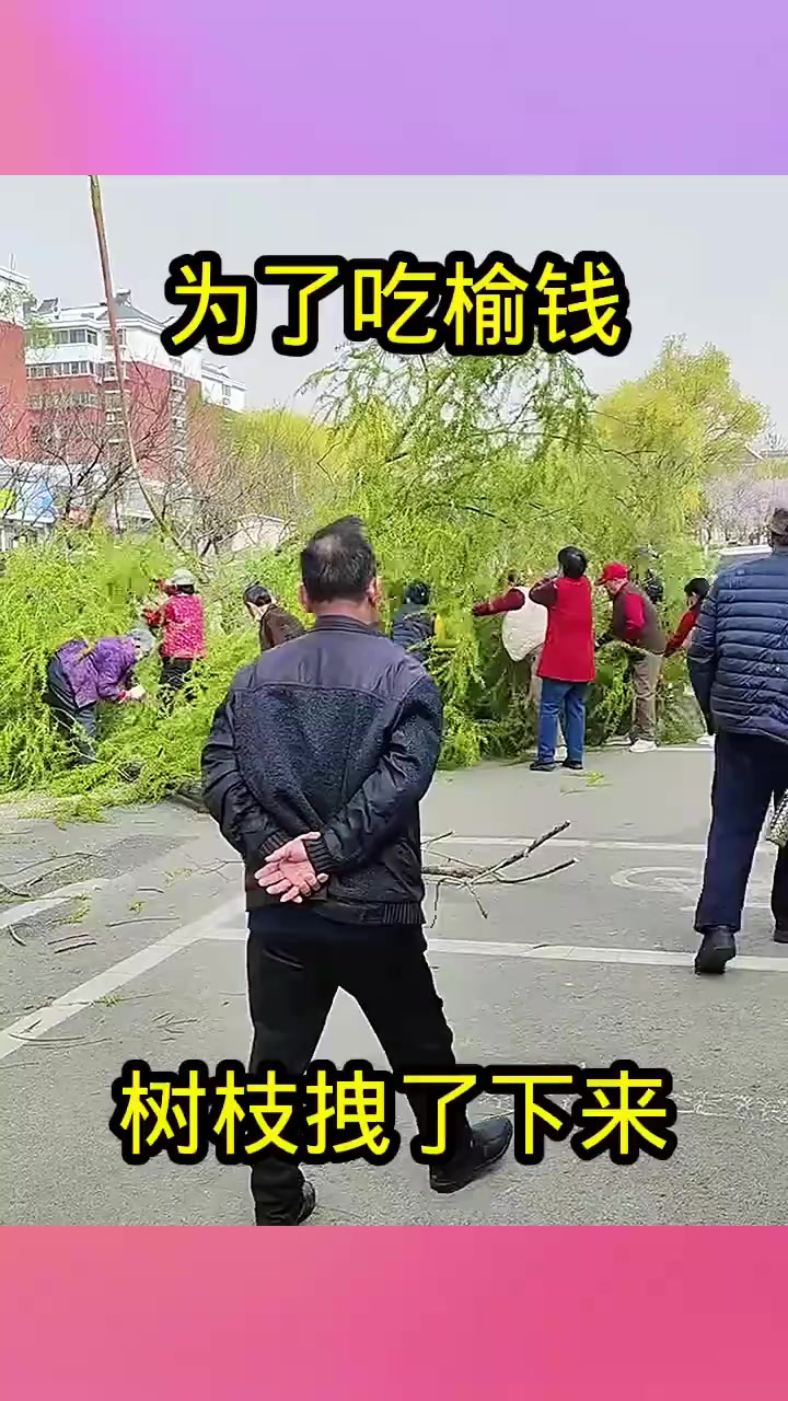 村庄里奇怪的“吃鱼钱”风波:大妈竟然拔邻居树枝引发骚动!