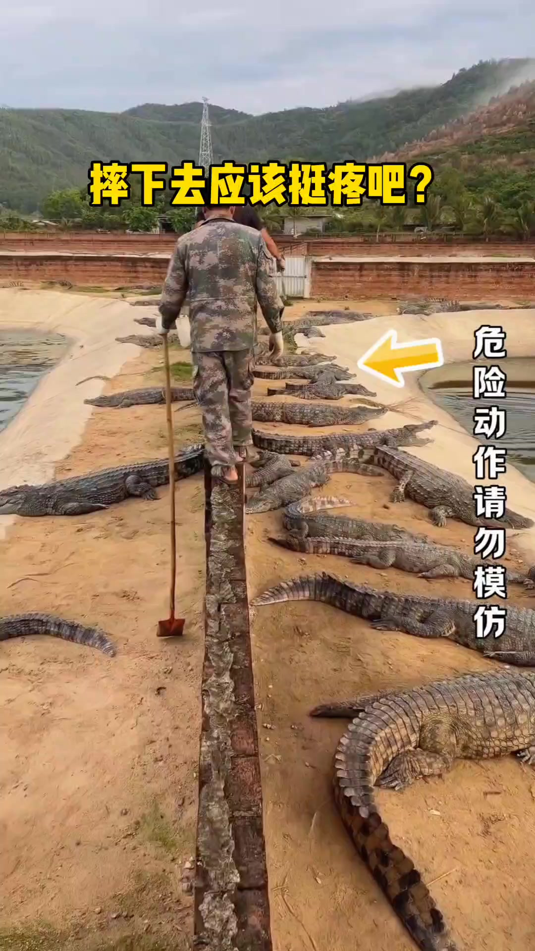 “勇敢挑战：兄弟在鳄鱼边缘的惊险游戏！”