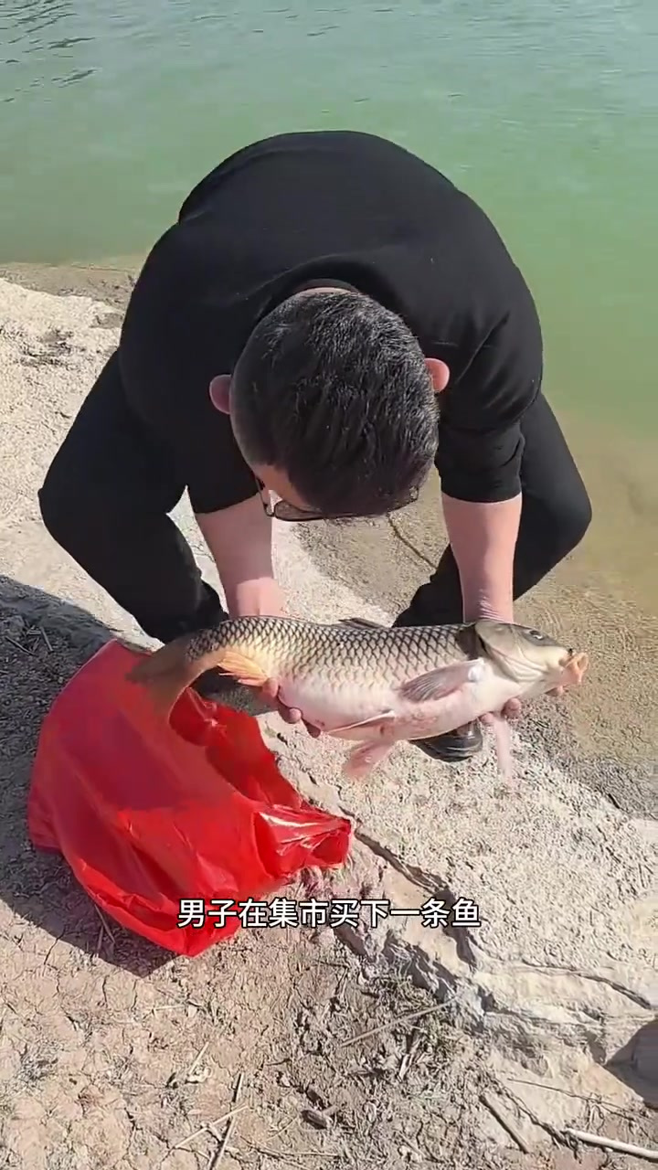 善待生命的男子：放生鱼，拯救千万小生命，值得赞美与敬佩