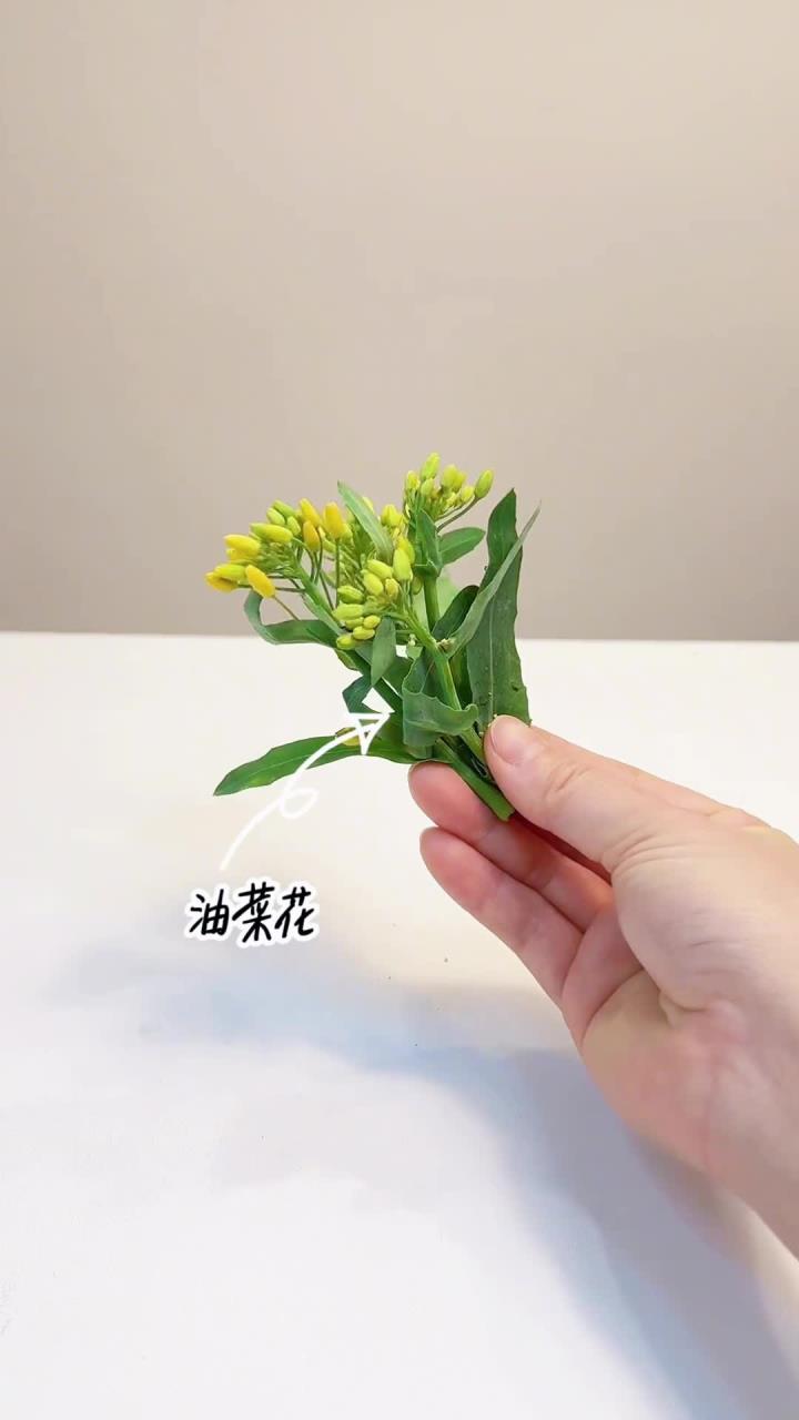 干净饮食Day406｜蔬菜汤营养价值和保鲜方法