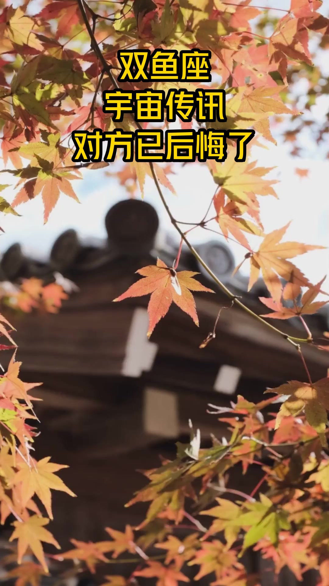 双鱼座:宇宙传讯,对方已后悔了