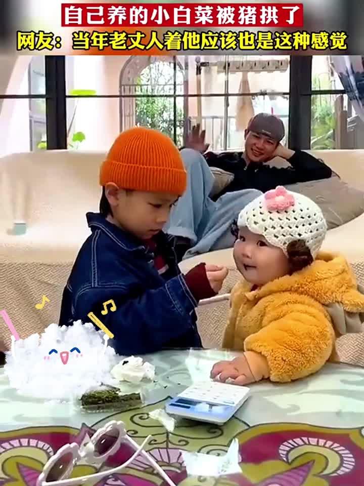 爸爸眼睁睁的看着,自己养的小白菜被别人家小猪拱了