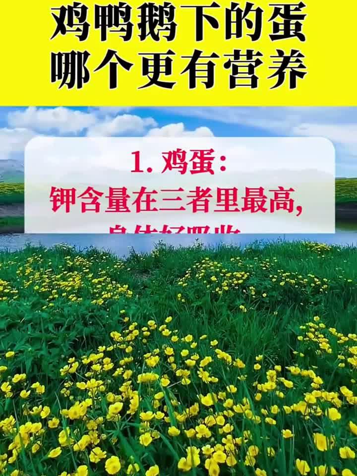 鸡鸭鹅下的蛋,哪个更有营养?