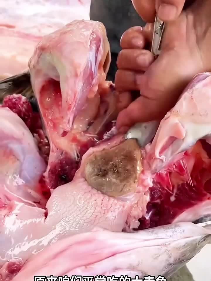 鱼骨制作吊坠,真没想到啊