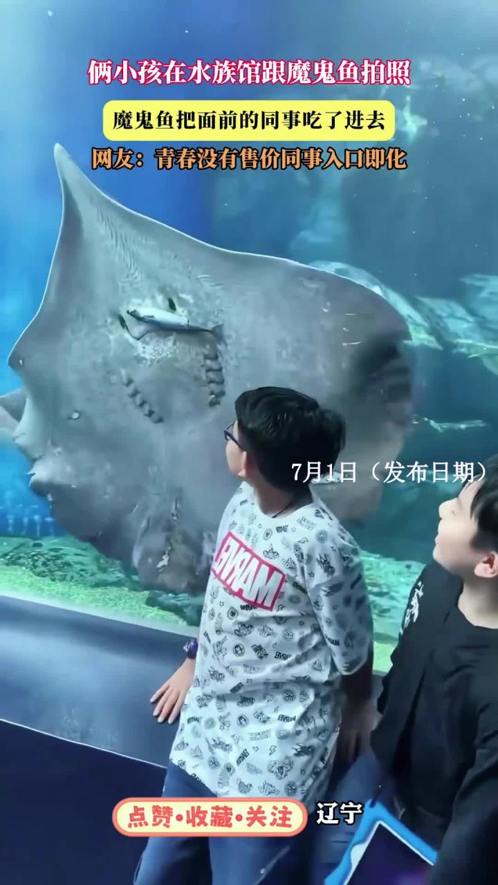 俩小孩在水族馆跟魔鬼鱼拍照，魔鬼鱼把面前的同事吃了进去，网友：青春没有售价同事入