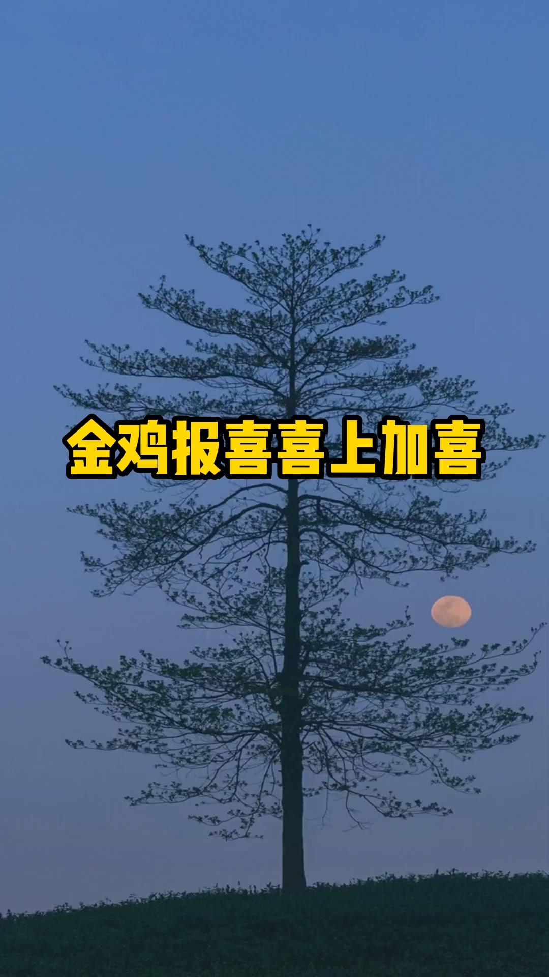 金鸡报喜喜上加喜