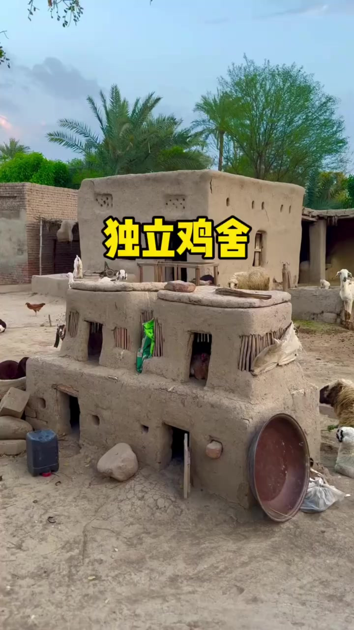 泥土鸡舍设计独特,竟成鸡咪的“豪宅”,让它们乐不思蜀!
