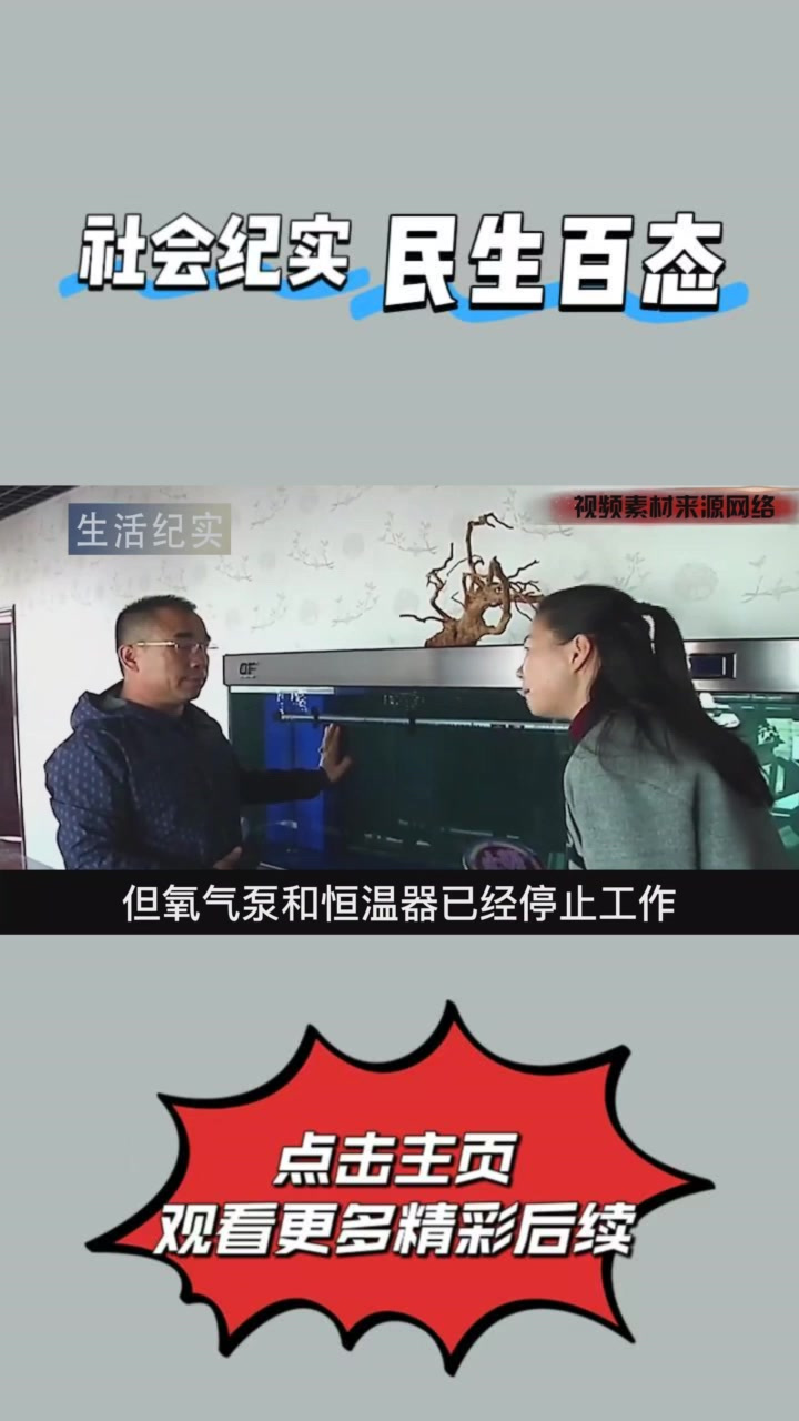 13万买的红龙鱼，家里断电鱼淹死了，主人：物业赔钱！③