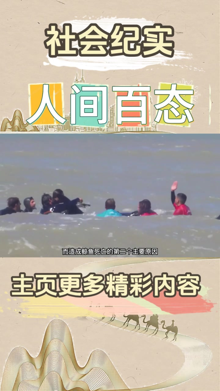 一头搁浅海滩的鲸鱼,顺利返回深海的全过程,还好它没搁浅在日本