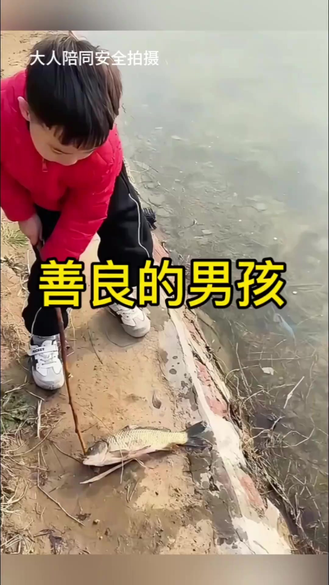 鱼儿重回水里后，竟游到小男孩面前，仿佛在向他致谢
