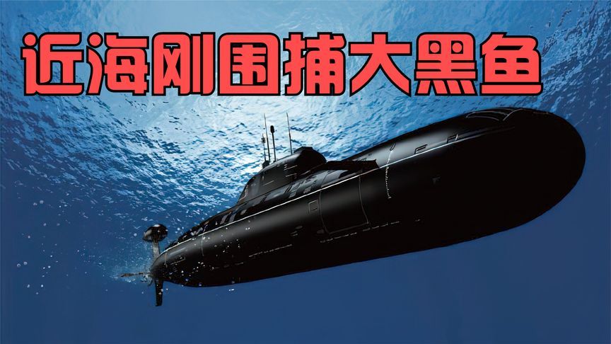 中国近海刚围捕大黑鱼