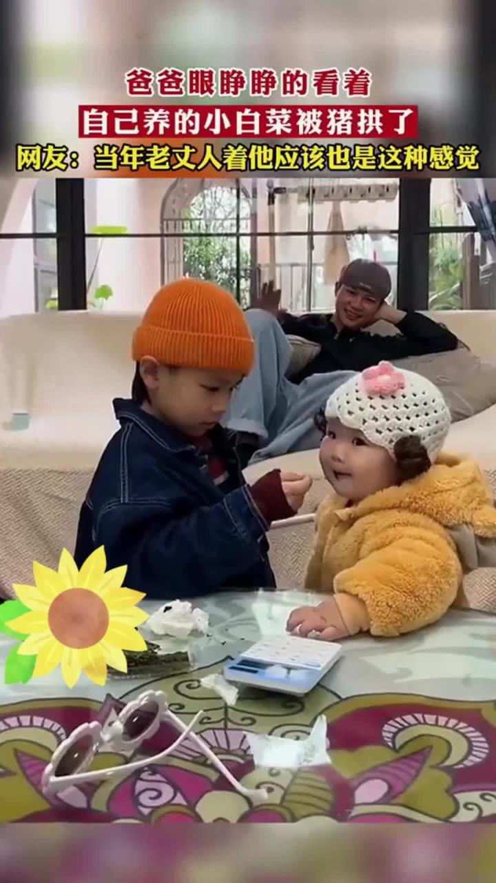爸爸眼睁睁的看着，自己养的小白菜被别人家小猪拱了。网友：当年老丈人着他应该也是这
