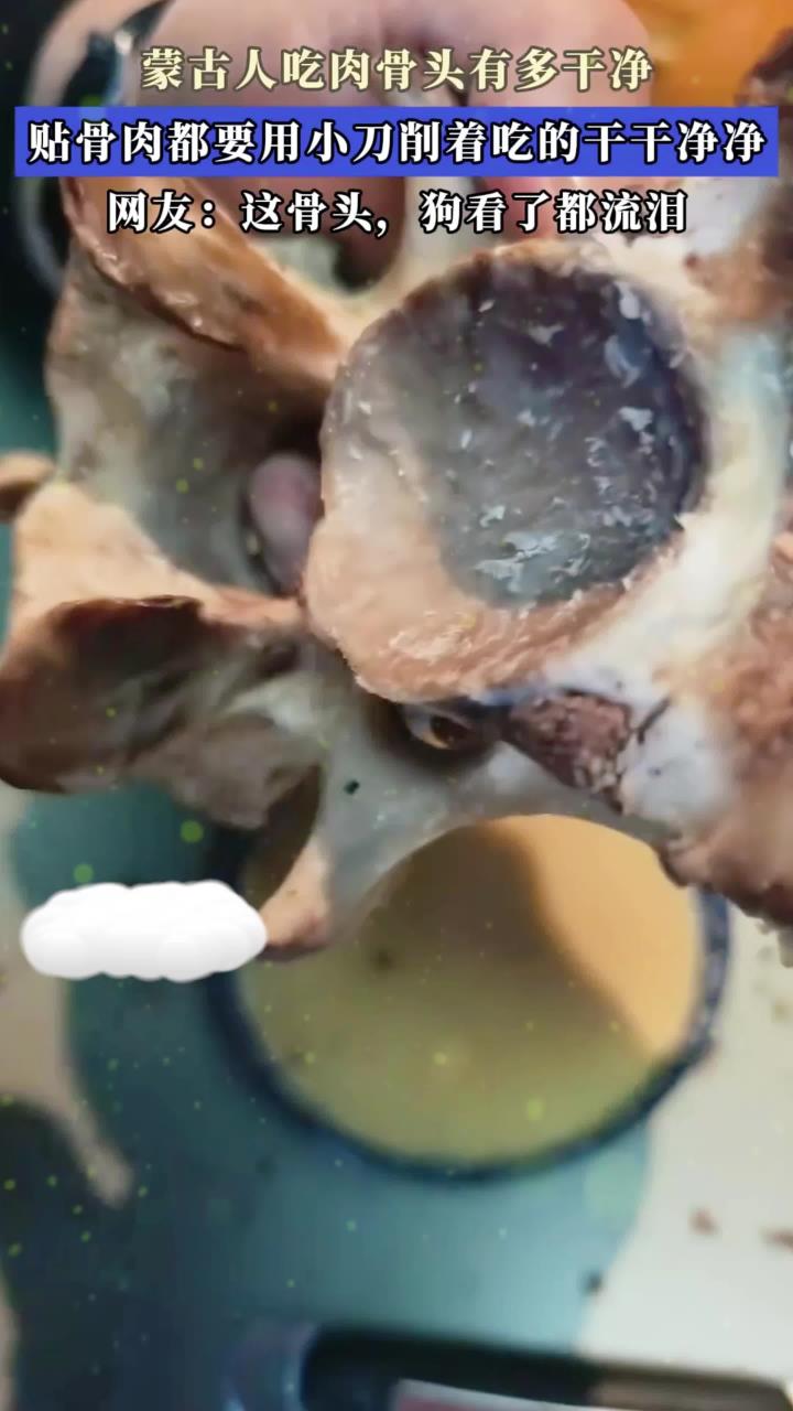 蒙古人吃肉骨头有多干净,贴骨肉都要用小刀削着吃的干干净净