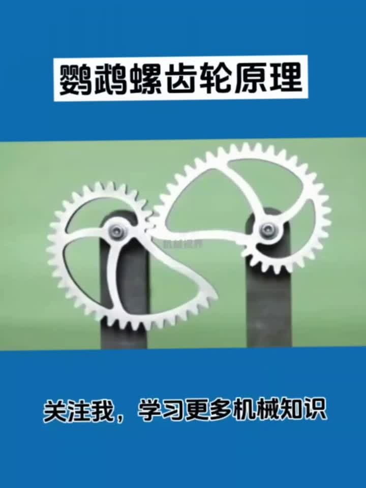 鹦鹉螺齿轮原理
