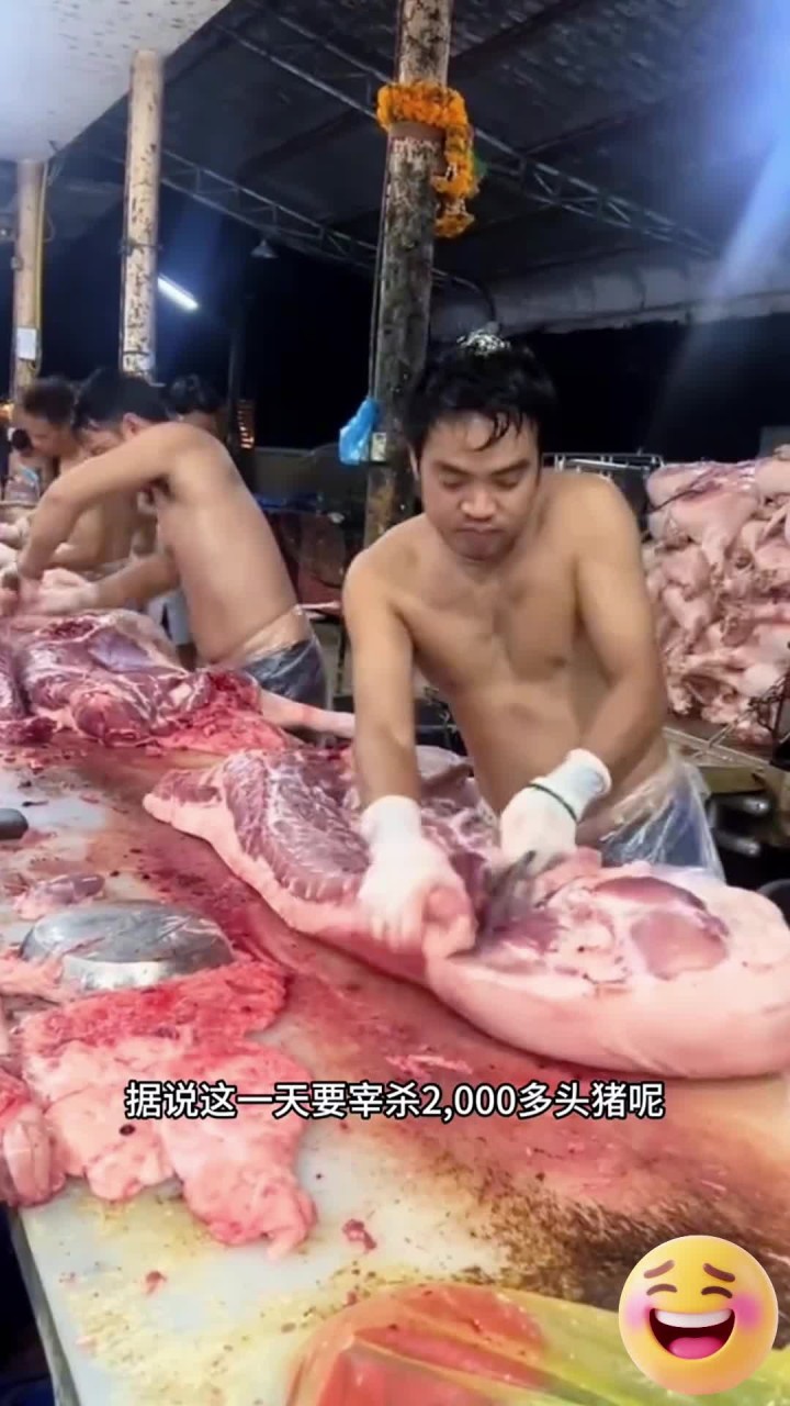 流水线分割猪肉,轻松解决