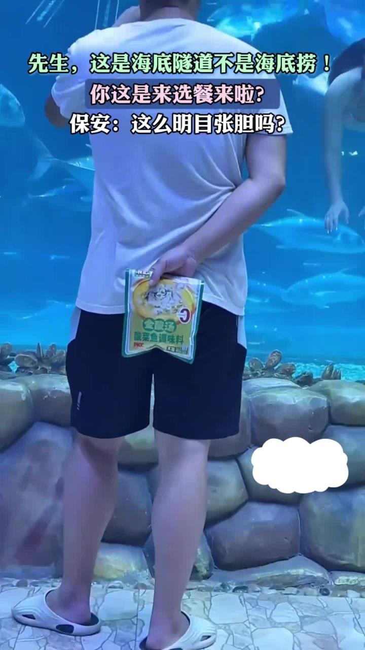 先生,这是海底隧道不是海底捞!你来选餐了是吧?
