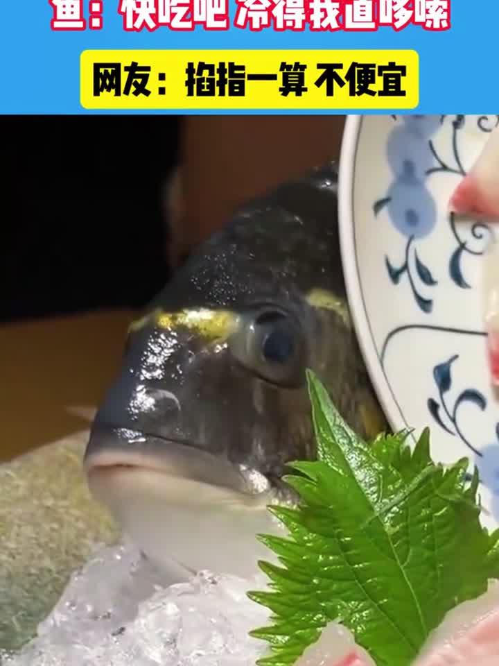 没人怀疑这生鱼片的新鲜度了