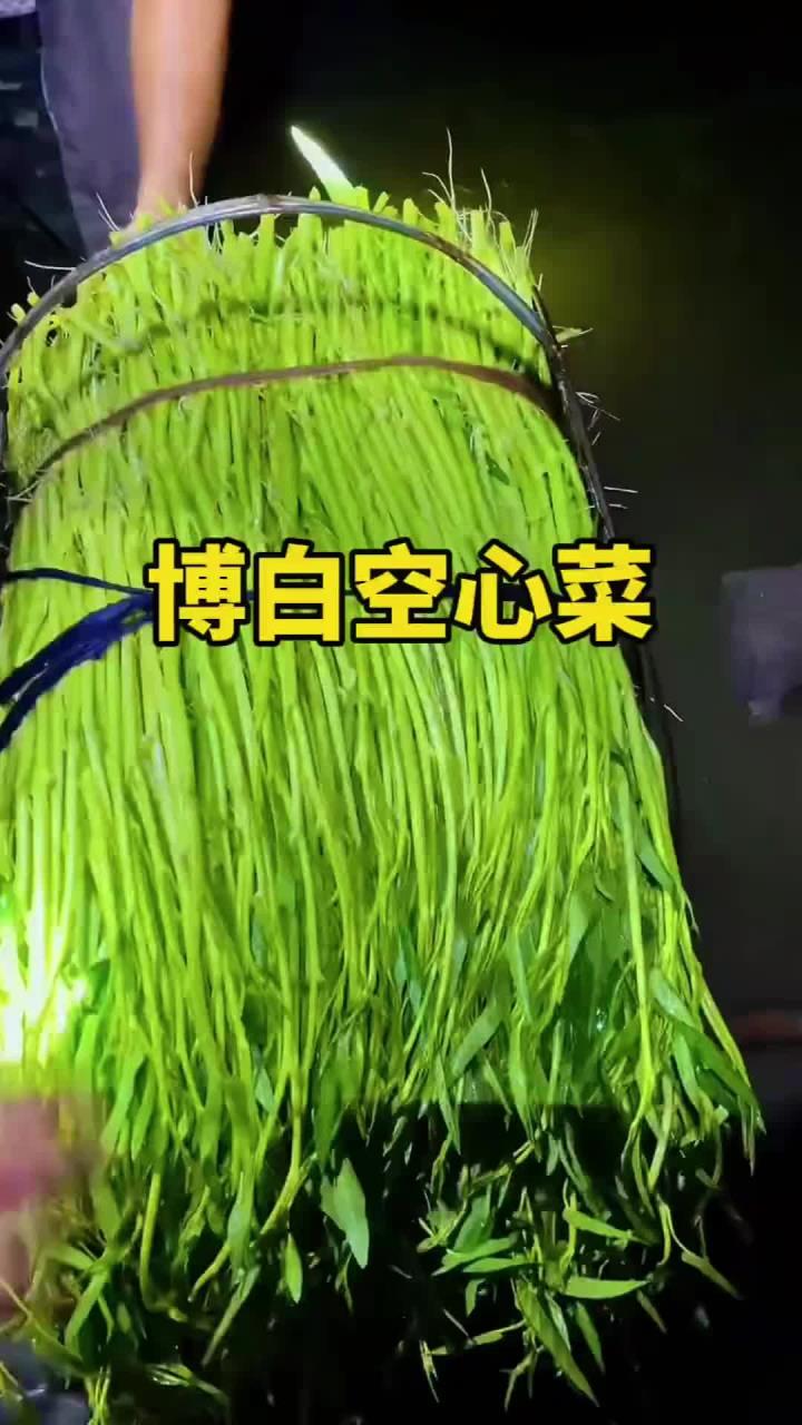 远近闻名的博白空心菜