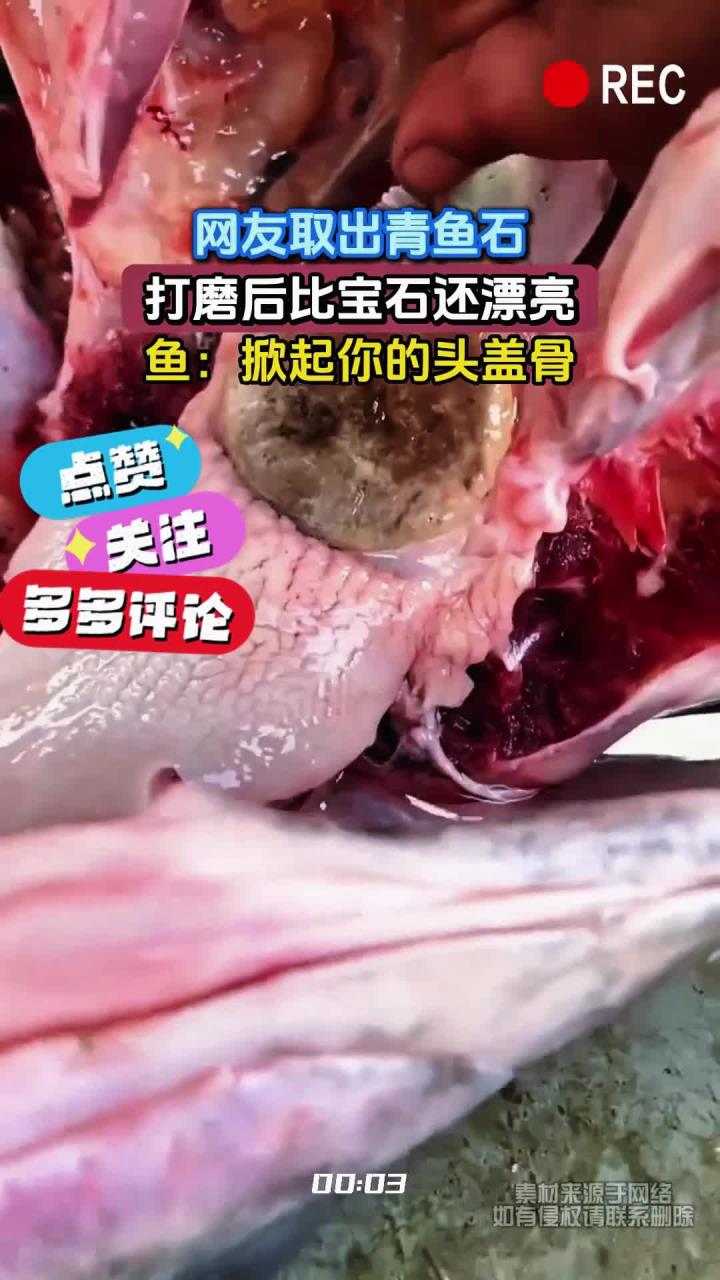 网友取出青鱼石，打磨后比宝石还漂亮，鱼：掀起你的头盖骨