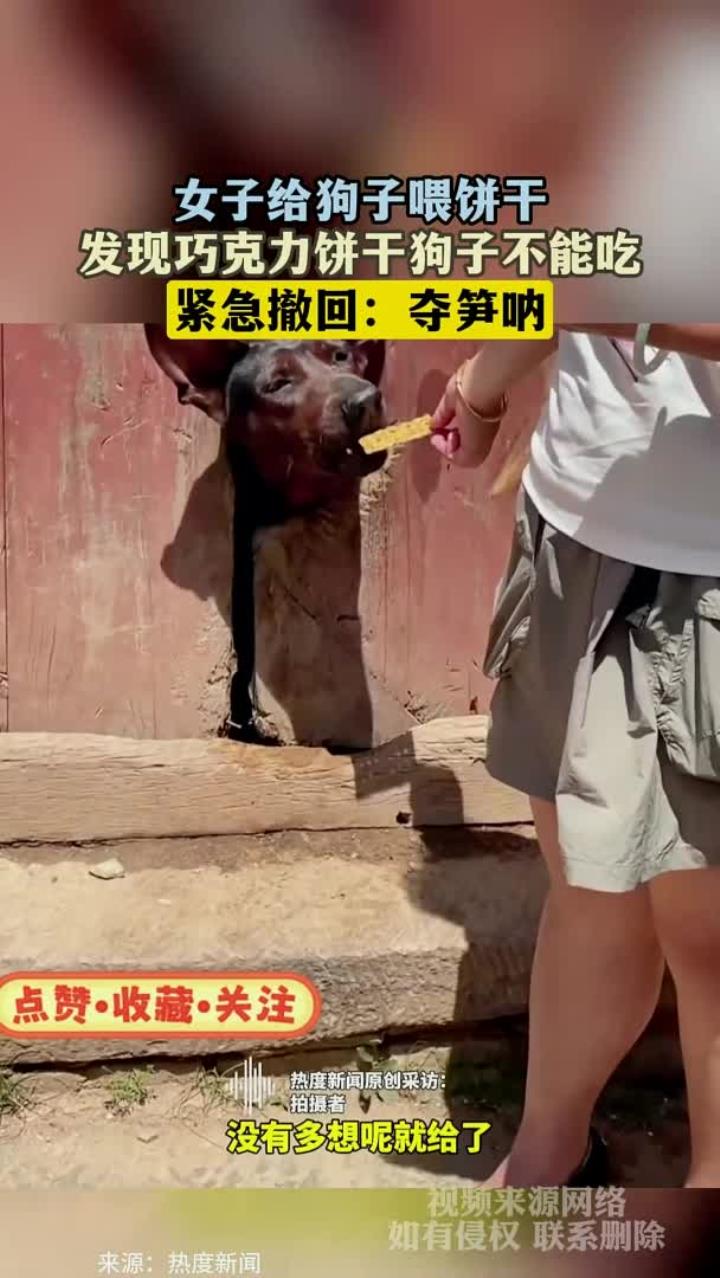 女子给狗子喂饼干,发现巧克力饼干狗子不能吃,紧急撤回:夺笋呐