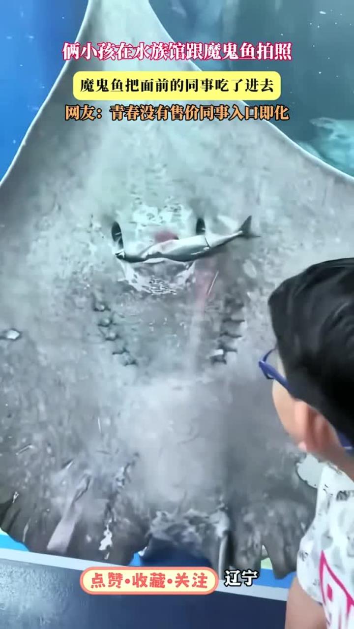 俩小孩在水族馆跟魔鬼鱼拍照,魔鬼鱼把面前的同事吃了进去,网友:青春没有售价同事入