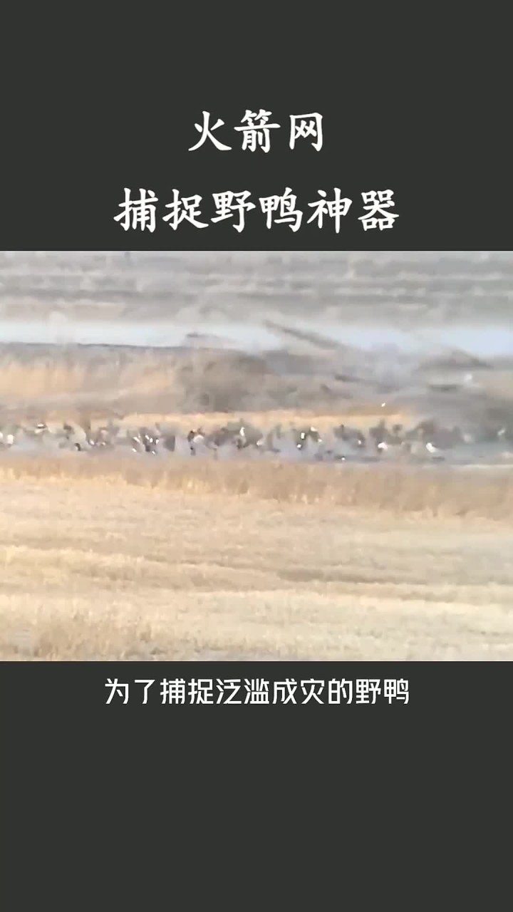 火箭网,捕捉野鸭神器!