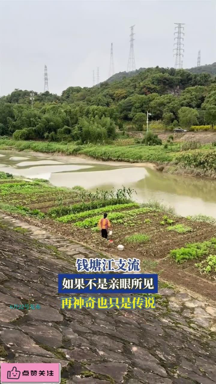 钱塘江支流,如果不是亲眼所见,再神奇也只是传说
