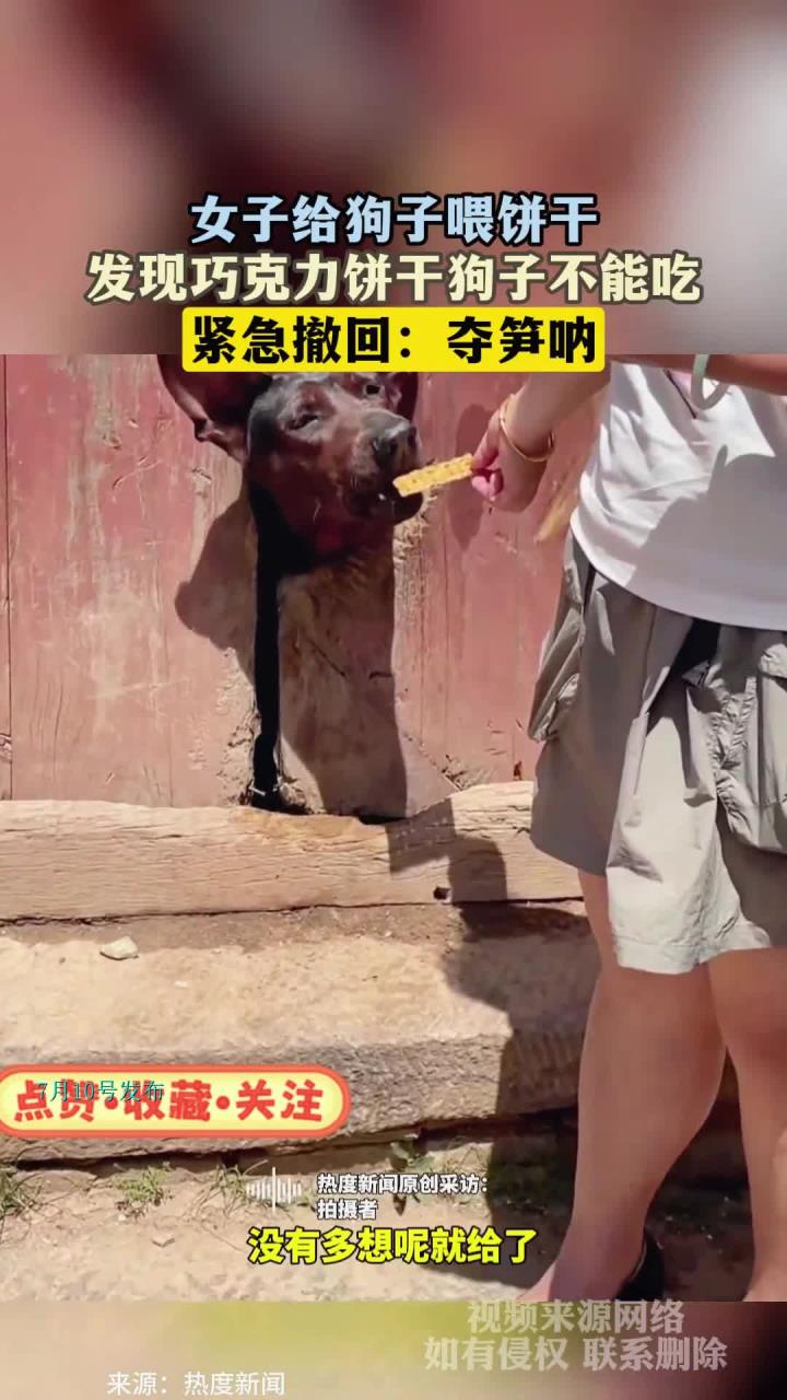 女子给狗子喂饼干,发现巧克力饼干狗子不能吃,紧急撤回:夺笋呐