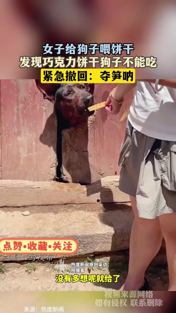 女子给狗子喂饼干,发现巧克力饼干狗子不能吃,紧急撤回:夺笋呐