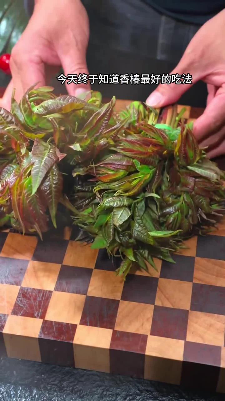 又到了吃香椿的季节，不要在炒鸡蛋了