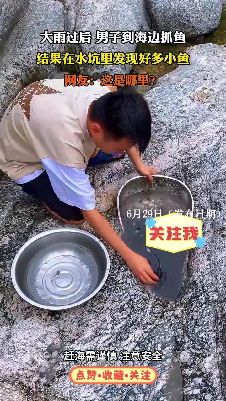 大雨过后，男子到海边抓鱼，结果在水坑里发现好多小鱼