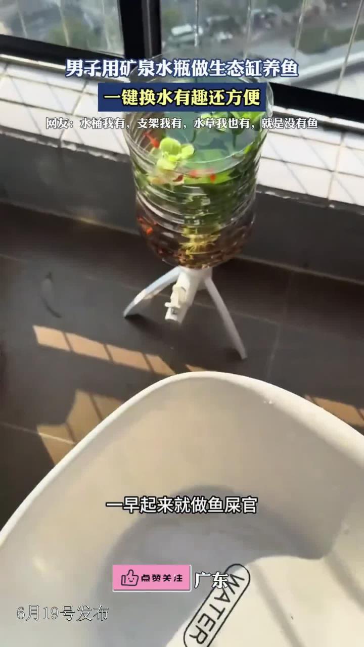 男子用矿泉水瓶做生态缸养鱼,一键换水有趣还方便