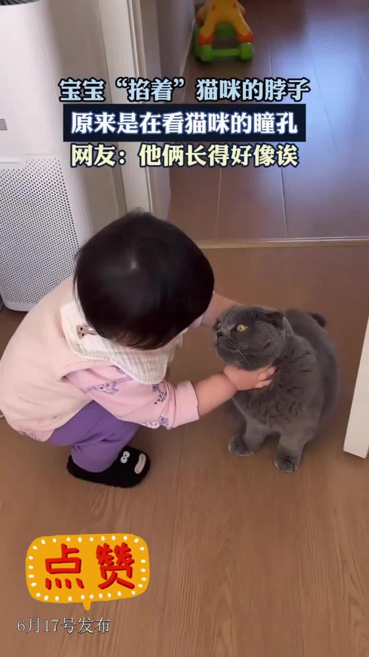 宝宝“掐着”猫咪的脖子原来是在看猫咪的瞳孔