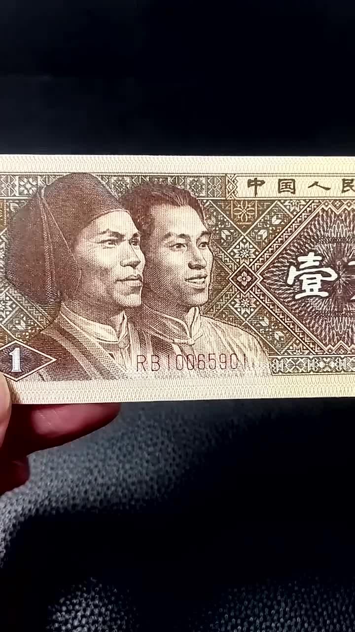 8001RB三色牡丹你见过吗?一个稀有的品种,快找一下你手里有没有吧