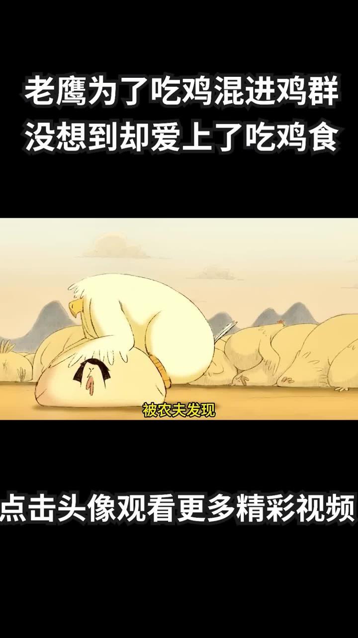 老鹰为了吃鸡混进鸡群,没想到却爱上了吃鸡食
