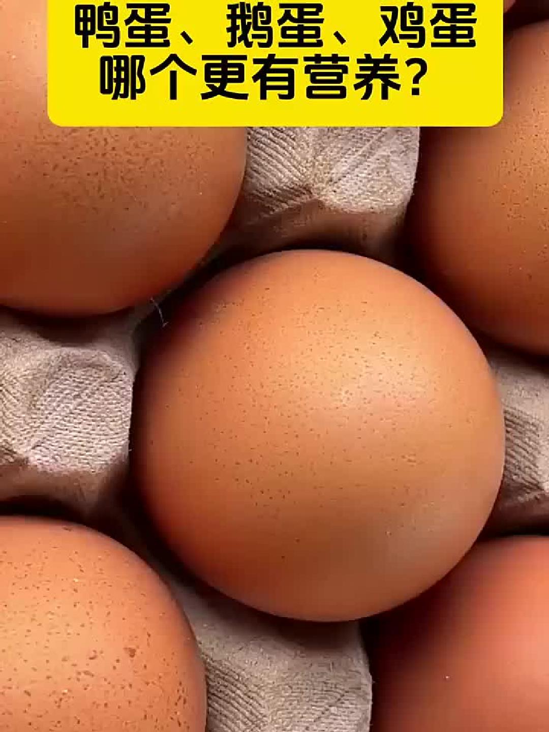 鸭蛋鹅蛋鸡蛋，营养大比拼谁是赢家？