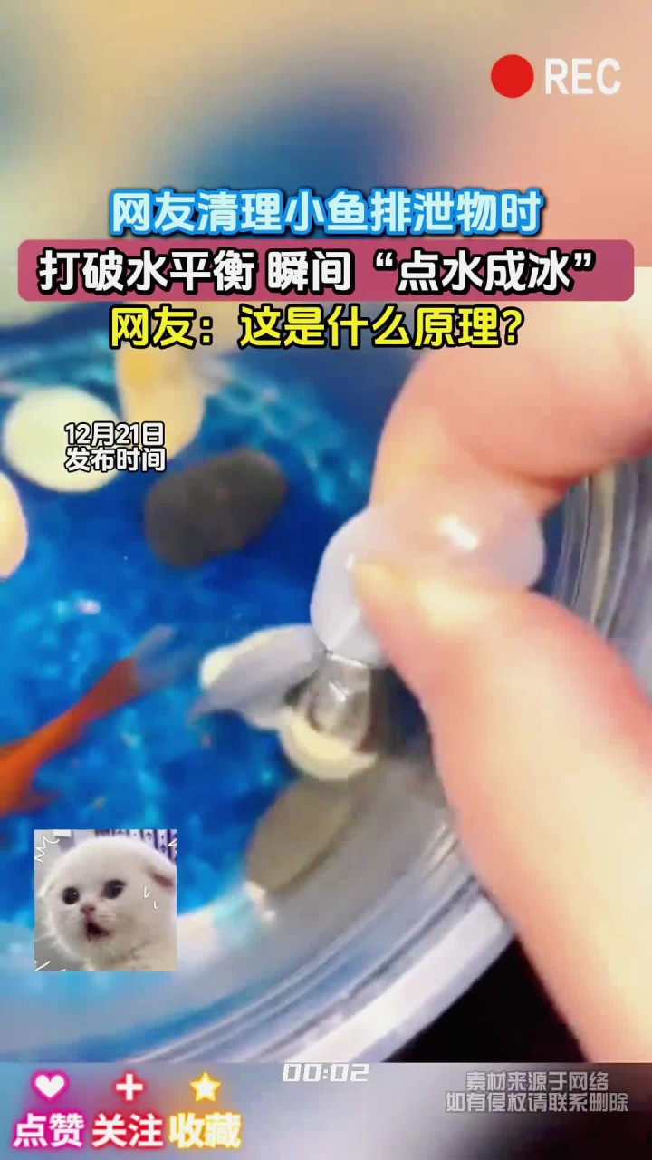 网友清理小鱼排泄物时,打破水平衡 瞬间“点水成冰”,网友:这是什么原理?