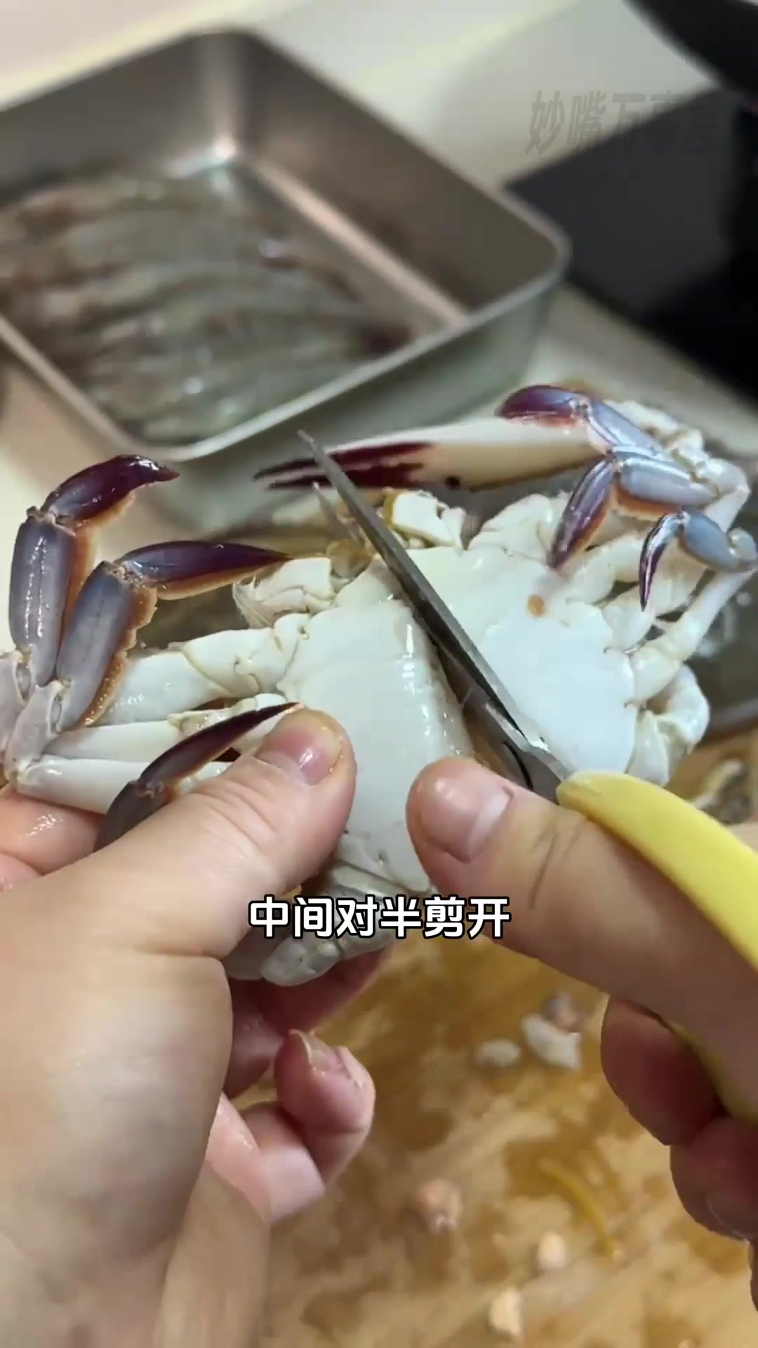 一次成功！肉蟹煲秘方大公开，酱汁浓郁到爆！