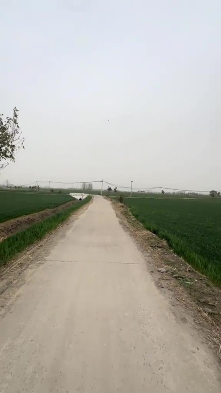 摔炮还是看名牌校长玩的哈 摔炮 小金鱼摔炮 摔炮新玩法 DIY手工