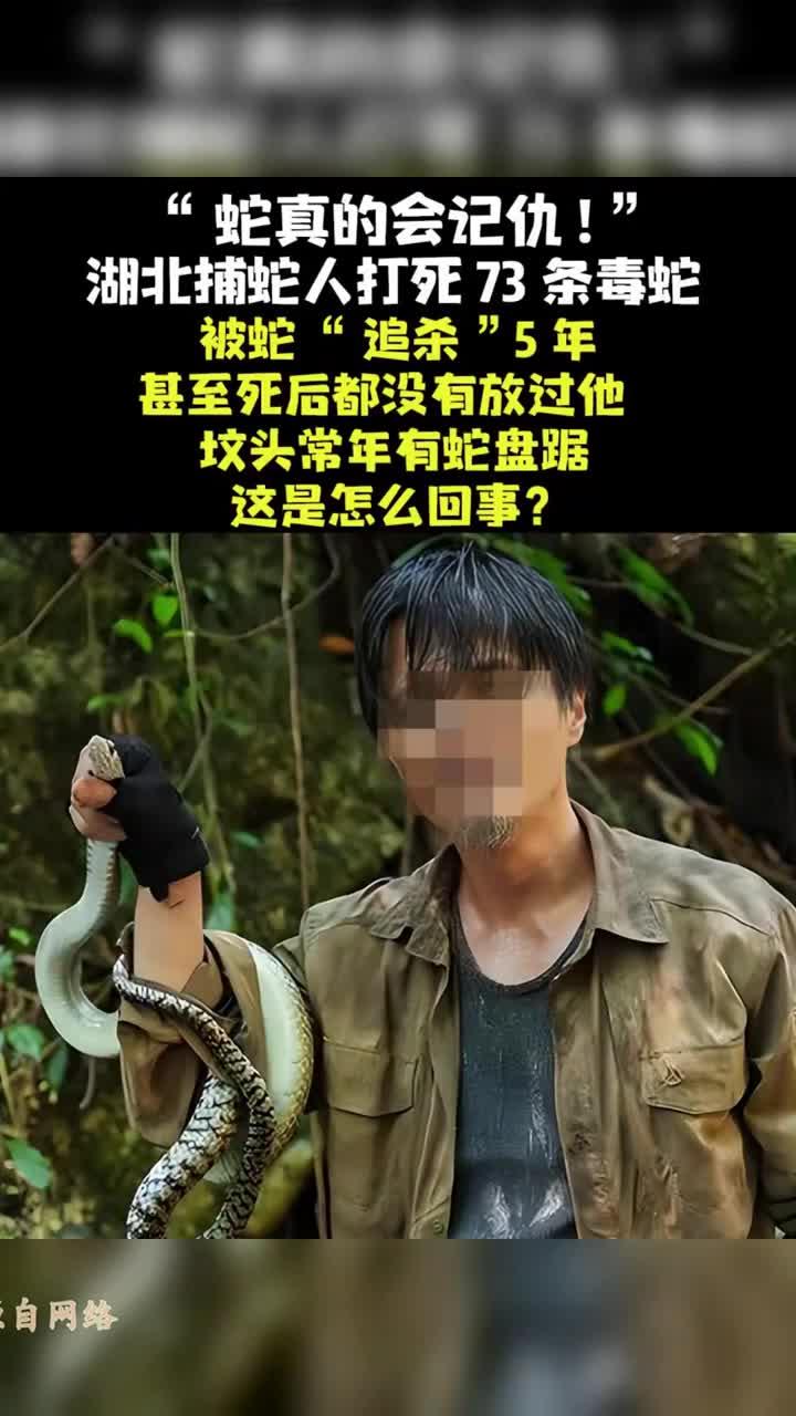 法律解读-湖北捕蛇人打死73条毒蛇,被蛇“追杀”5年