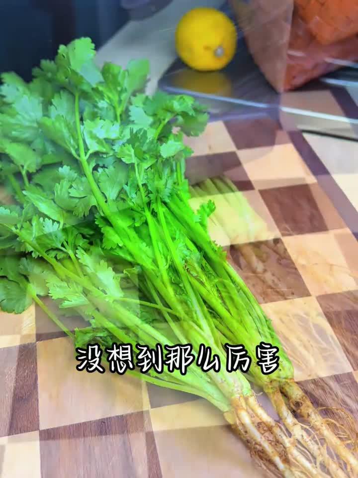 一碗香菜白萝卜汤,养生功效超乎想象!