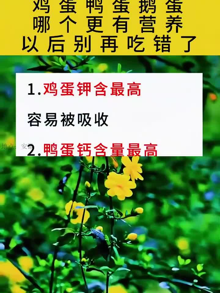 鸡蛋鸭蛋鹅蛋以后别再吃错了