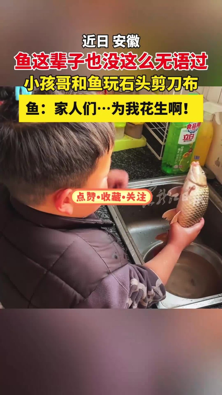 鱼这辈子也没这么无语过 小孩哥和鱼玩石头剪刀布 鱼：家人们……为我花生啊！