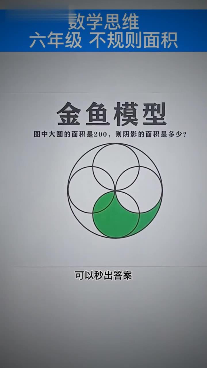 金鱼模型