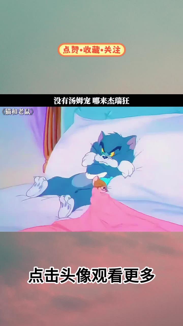 没有汤姆的宠爱哪来的杰瑞的疯狂